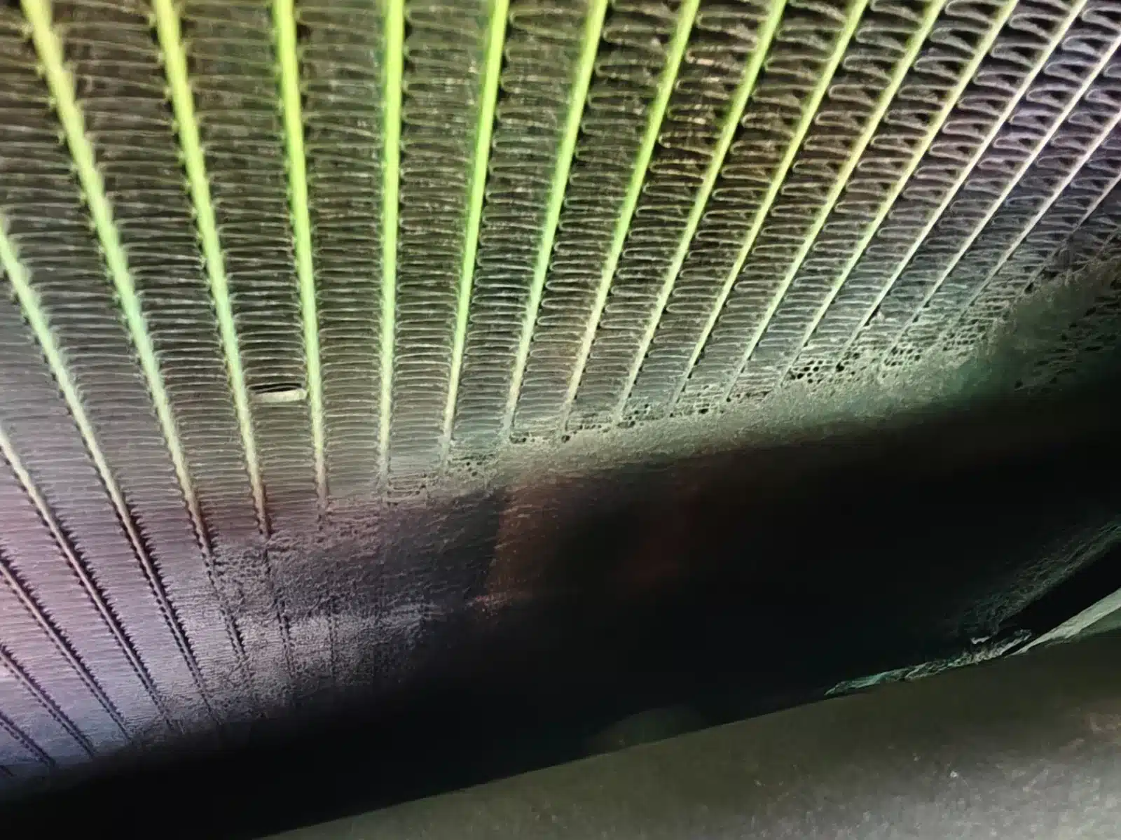 Aceite en el radiador